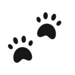 Dog Paw.300