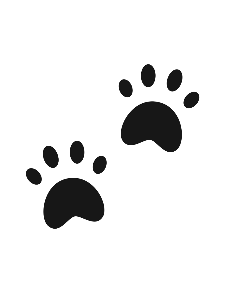 Dog Paw.300